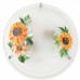 Светильник настенно-потолочный Toplight Armir TL9361Y-02WH