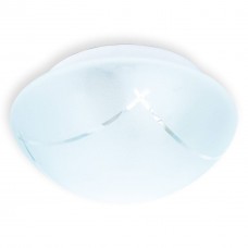 Светильник настенно-потолочный Toplight Sandra TL9410Y-02WH