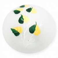 Светильник настенно-потолочный Toplight Enilu TL9460Y-02OA