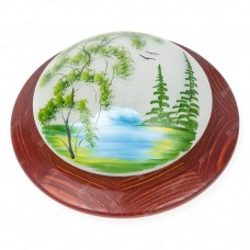 Светильник настенно-потолочный Toplight Witaec TL9470Y-01OA