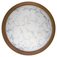 Настенно-потолочный светильник Toplight Daniela TL9530Y-00OA