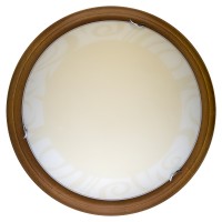 Настенно-потолочный светильник Toplight Ginger TL9620Y-00OA