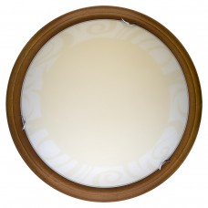 Настенно-потолочный светильник Toplight Ginger TL9620Y-00OA