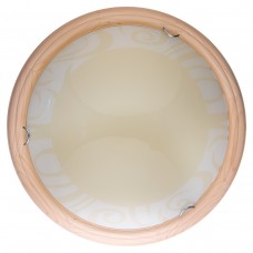 Настенно-потолочный светильник Toplight Ginger TL9620Y-00PN