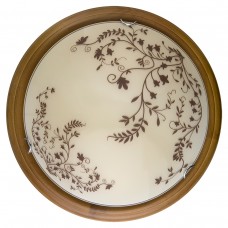 Настенно-потолочный светильник Toplight Irene TL9630Y-00OA