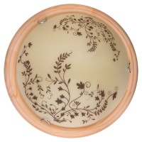 Настенно-потолочный светильник Toplight Irene TL9630Y-00PN