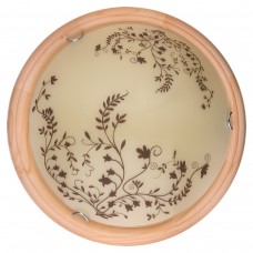 Настенно-потолочный светильник Toplight Irene TL9630Y-00PN