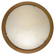 Настенно-потолочный светильник Toplight Jane TL9640Y-00OA