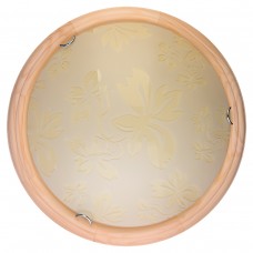 Настенно-потолочный светильник Toplight Jane TL9640Y-00PN