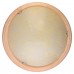 Настенно-потолочный светильник Toplight Jane TL9640Y-00PN