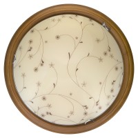 Настенно-потолочный светильник Toplight Karissa TL9650Y-00OA