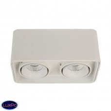 Накладной светодиодный светильник LeDron TUBING 2 White