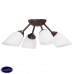 Потолочная люстра Vitaluce V3402/4PL