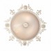 Настенно-потолочный светильник Vitaluce V6839/3A