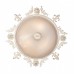 Настенно-потолочный светильник Vitaluce V6839/3A