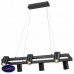 Подвесной светильник Vele Luce Zoom VL10122P06