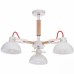 Люстра потолочная Vele Luce Impetuoso VL1431L03