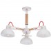 Люстра потолочная Vele Luce Impetuoso VL1431L03