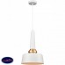Светильник подвесной Vele Luce Appassionato VL2141P01
