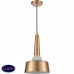 Светильник подвесной Vele Luce Appassionato VL2144P01