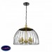 Подвесная люстра Vele Luce Florian VL5062P05