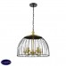 Подвесная люстра Vele Luce Florian VL5062P05