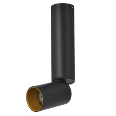 Светильник накладной Lumien Hall ТОРИН 8001/1CM-BK-GD