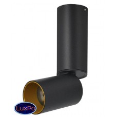 Светильник накладной Lumien Hall ТОРИН 8001/1CS-BK-GD