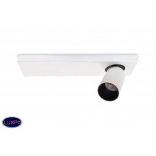 Светильник настенно-потолочный Lumien Hall КАЙЛ 8002/1W-WT-BK