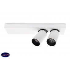 Светильник настенно-потолочный Lumien Hall КАЙЛ 8002/2W-WT-BK