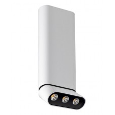 Светильник накладной Lumien Hall ФЕРГУС 8005/3CL-WT-BK