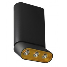 Светильник накладной Lumien Hall ФЕРГУС 8005/3CM-BK-GD