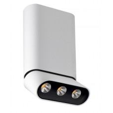 Светильник накладной Lumien Hall ФЕРГУС 8005/3CM-WT-BK