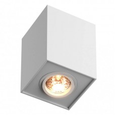 Точечный светильник ZUMALINE(QUADRO) 89200-WH