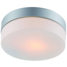 Светильник для ванной комнаты Arte Lamp A3211PL-1SI SHIRP