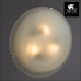 Настенно-потолочный светильник Arte Lamp Luna A3450PL-3CC