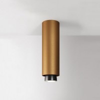                                                                  Потолочный светильник Fabbian                                        <span>Claque L bronze</span>                  