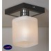 Потолочный светильник Lussole COSTANZO GRLSL-9007-01