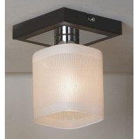 Светильник настенно-потолочный Lussole Costanzo LSL-9007-01