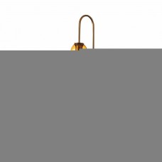 Светильник настенный ST Luce CALLANA SL1145.391.01