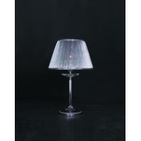 Настольная лампа Paderno Luce T.3017/1.02